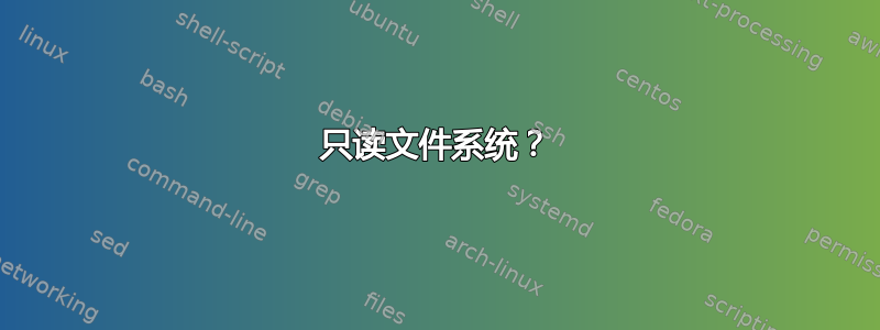 只读文件系统？