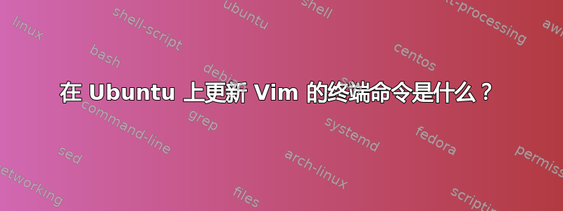 在 Ubuntu 上更新 Vim 的终端命令是什么？