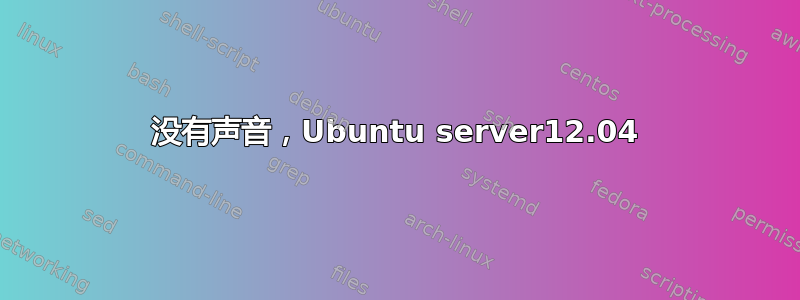 没有声音，Ubuntu server12.04