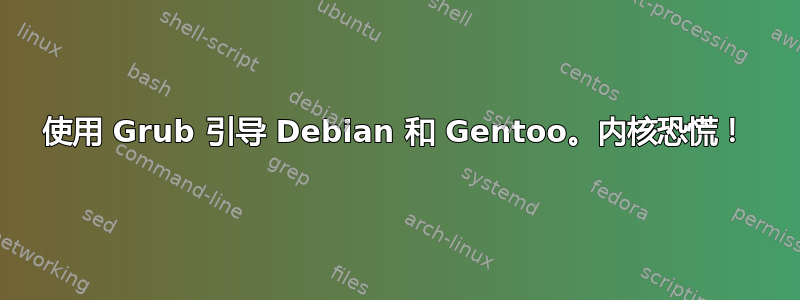 使用 Grub 引导 Debian 和 Gentoo。内核恐慌！