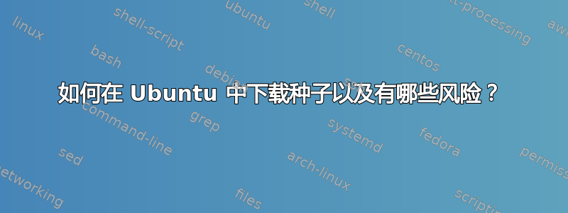 如何在 Ubuntu 中下载种子以及有哪些风险？