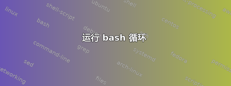 运行 bash 循环