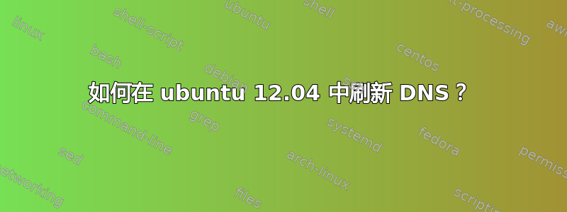 如何在 ubuntu 12.04 中刷新 DNS？