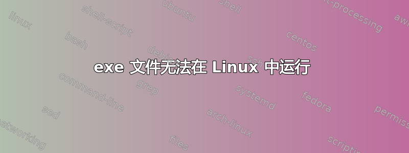 exe 文件无法在 Linux 中运行