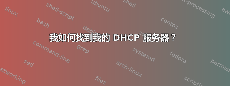 我如何找到我的 DHCP 服务器？