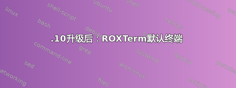 13.10升级后：ROXTerm默认终端