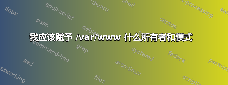 我应该赋予 /var/www 什么所有者和模式 