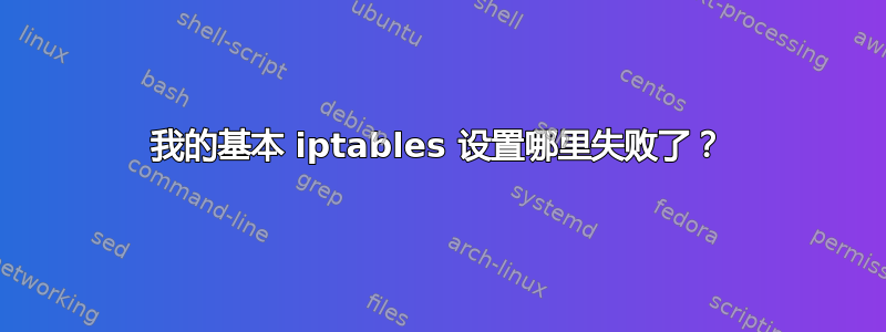 我的基本 iptables 设置哪里失败了？