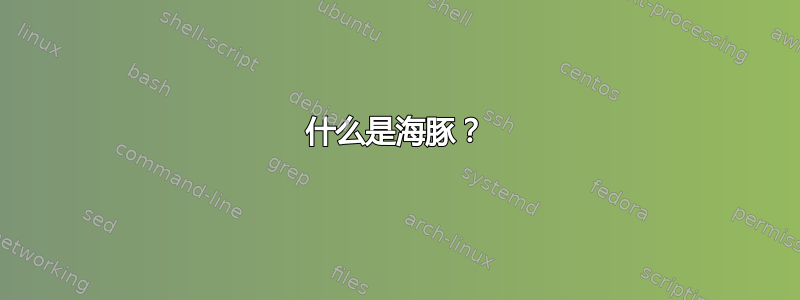 什么是海豚？