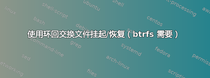 使用环回交换文件挂起/恢复（btrfs 需要）