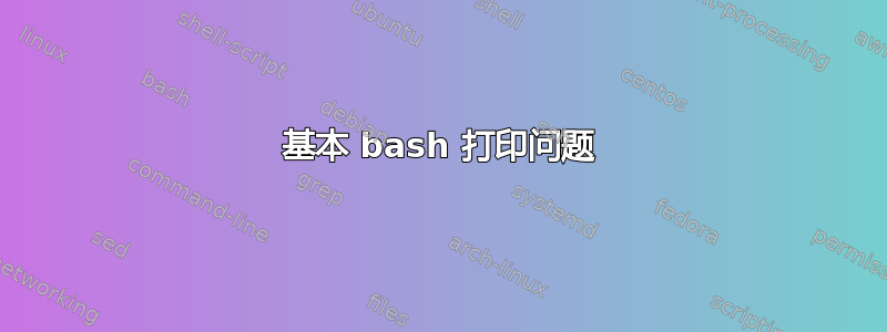 基本 bash 打印问题