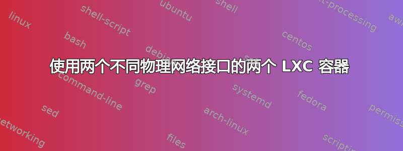 使用两个不同物理网络接口的两个 LXC 容器