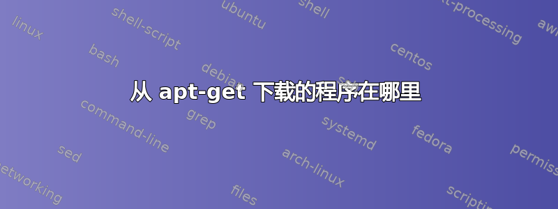 从 apt-get 下载的程序在哪里