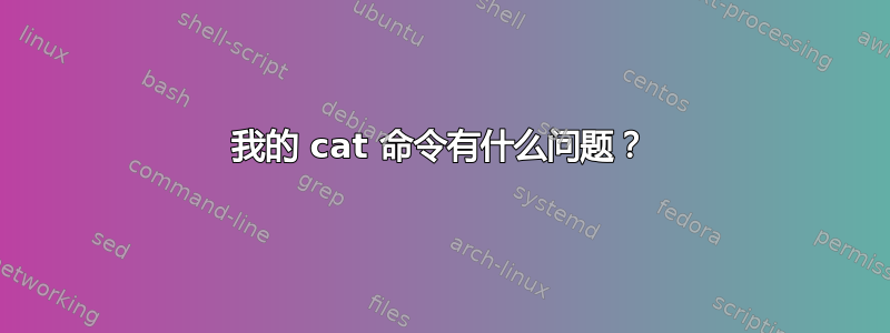 我的 cat 命令有什么问题？