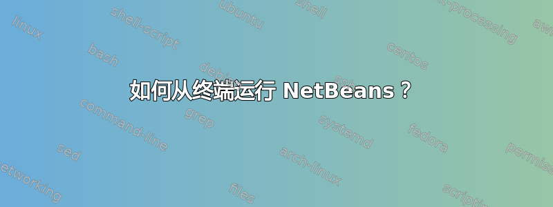 如何从终端运行 NetBeans？