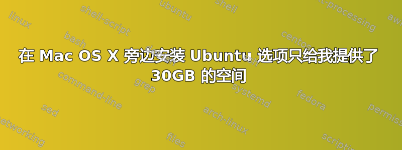 在 Mac OS X 旁边安装 Ubuntu 选项只给我提供了 30GB 的空间