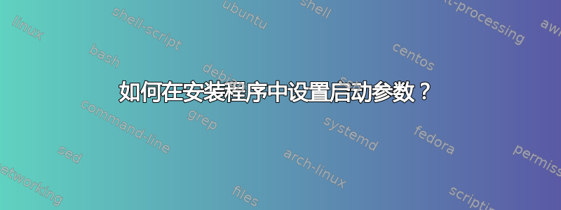 如何在安装程序中设置启动参数？