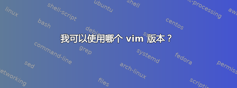 我可以使用哪个 vim 版本？