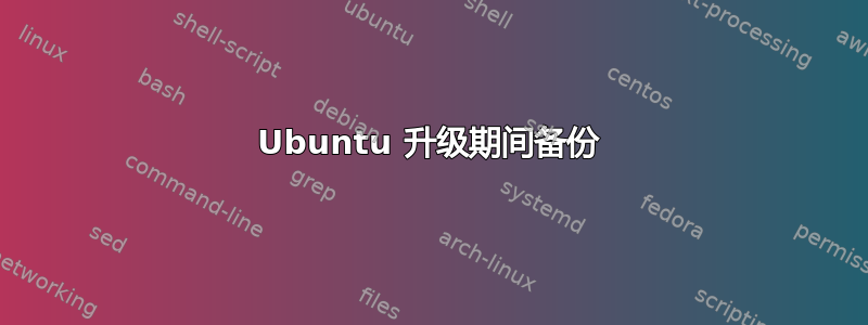 Ubuntu 升级期间备份