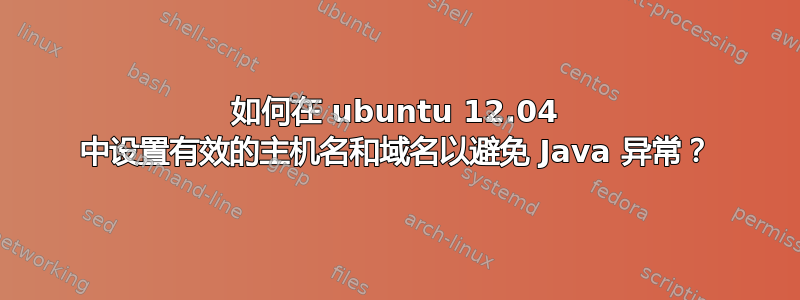 如何在 ubuntu 12.04 中设置有效的主机名和域名以避免 Java 异常？