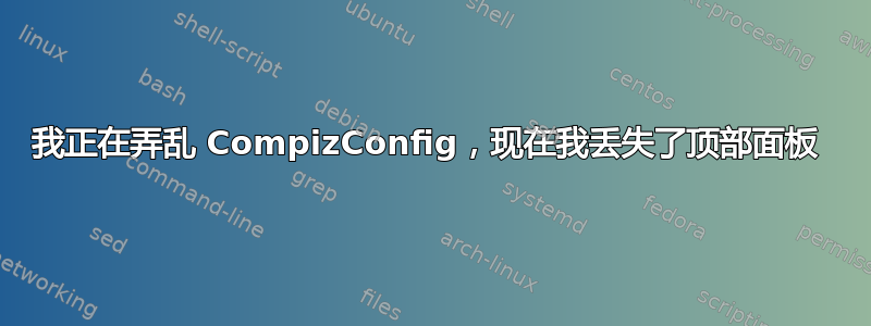 我正在弄乱 CompizConfig，现在我丢失了顶部面板 