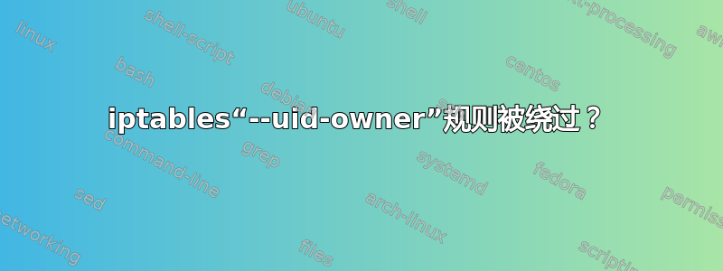 iptables“--uid-owner”规则被绕过？