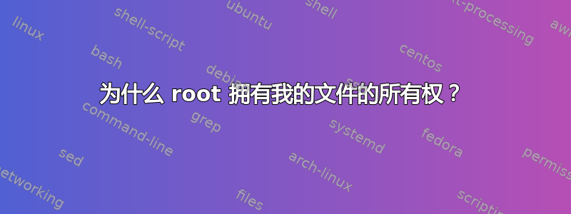 为什么 root 拥有我的文件的所有权？