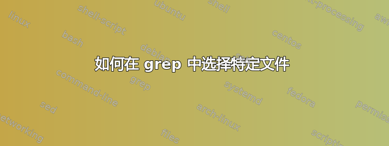 如何在 grep 中选择特定文件