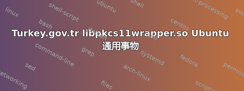 Turkey.gov.tr libpkcs11wrapper.so Ubuntu 通用事物