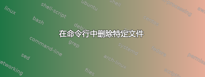 在命令行中删除特定文件