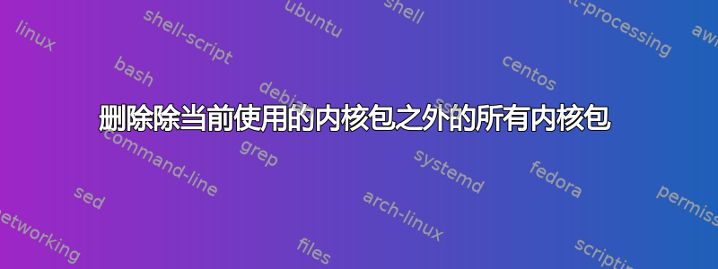 删除除当前使用的内核包之外的所有内核包