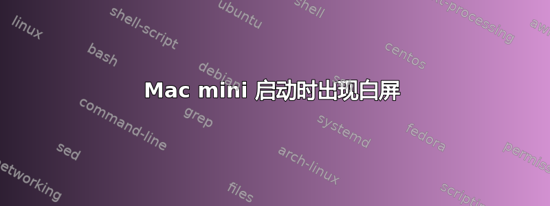 Mac mini 启动时出现白屏