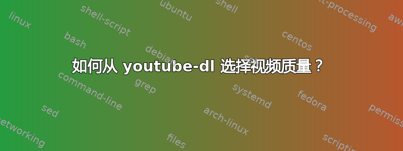 如何从 youtube-dl 选择视频质量？