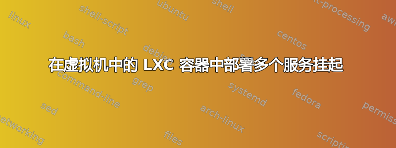 在虚拟机中的 LXC 容器中部署多个服务挂起