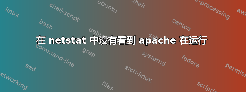 在 netstat 中没有看到 apache 在运行