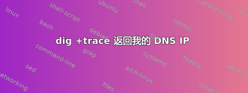 dig +trace 返回我的 DNS IP