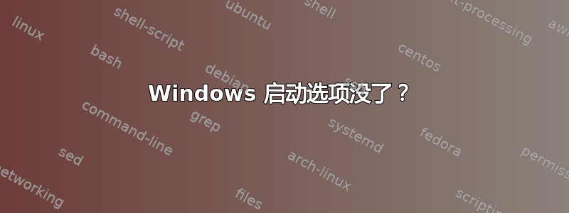 Windows 启动选项没了？