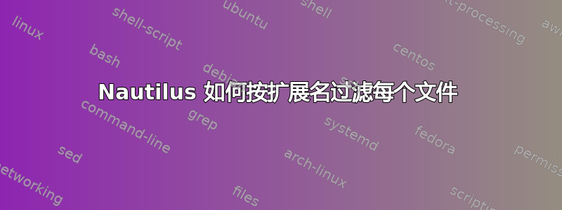 Nautilus 如何按扩展名过滤每个文件