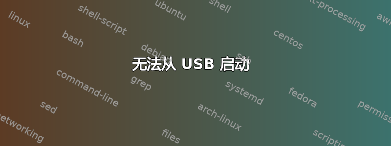 无法从 USB 启动 