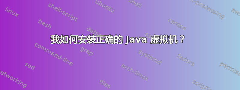 我如何安装正确的 Java 虚拟机？