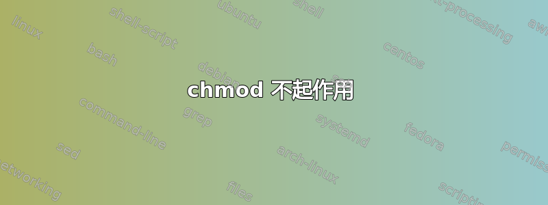 chmod 不起作用