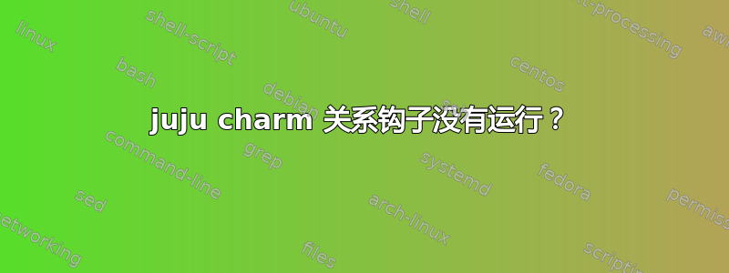 juju charm 关系钩子没有运行？