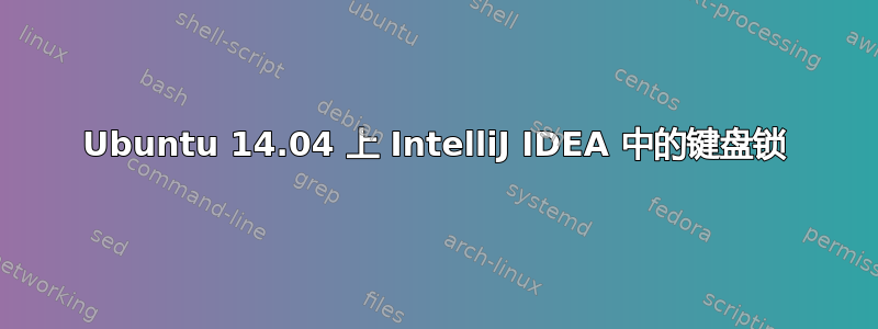 Ubuntu 14.04 上 IntelliJ IDEA 中的键盘锁