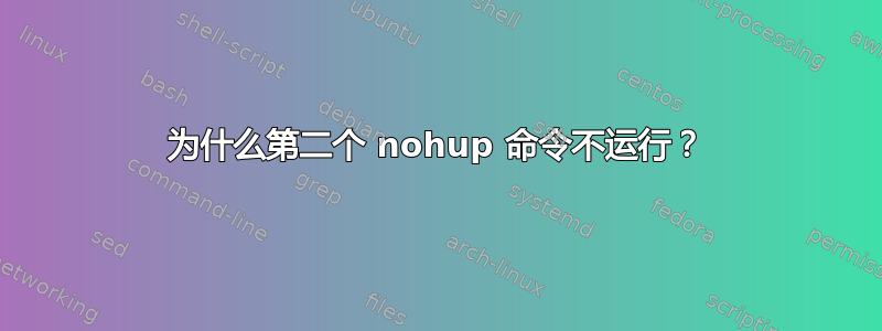 为什么第二个 nohup 命令不运行？