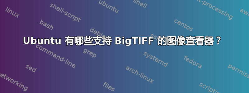 Ubuntu 有哪些支持 BigTIFF 的图像查看器？