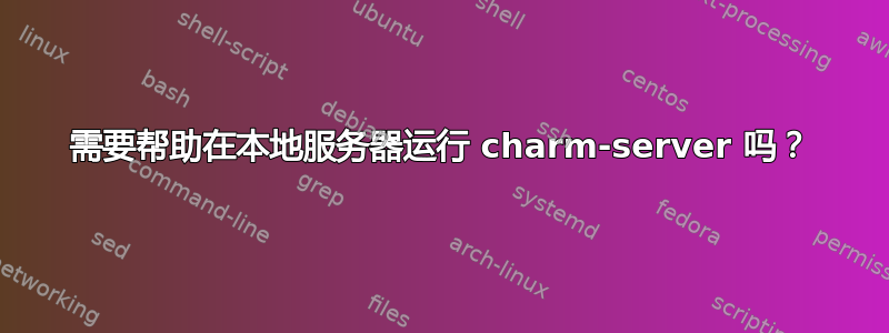 需要帮助在本地服务器运行 charm-server 吗？