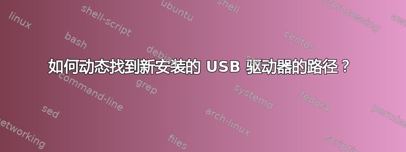 如何动态找到新安装的 USB 驱动器的路径？