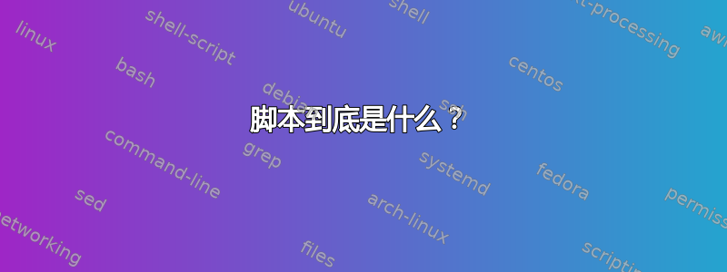 脚本到底是什么？