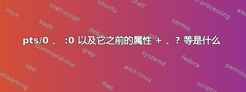 pts/0 、 :0 以及它之前的属性 + 、? 等是什么