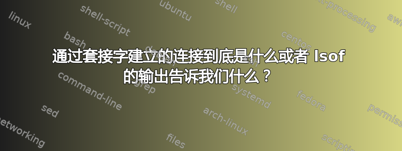 通过套接字建立的连接到底是什么或者 lsof 的输出告诉我们什么？